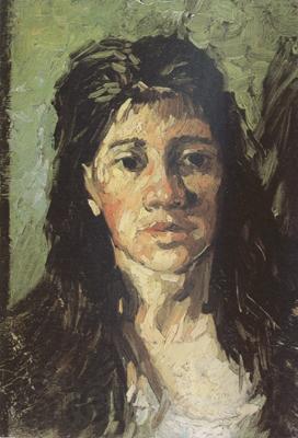 Vincent Van Gogh Head of a Woman with her Hair Loose (nn04) Norge oil painting art